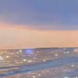 Meet your Posher, Hallie